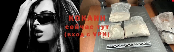 крисы Куйбышев