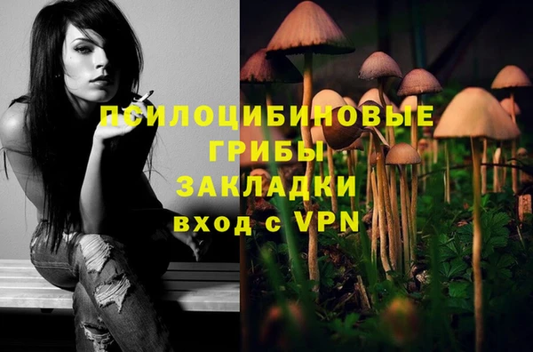Альфа ПВП Кулебаки